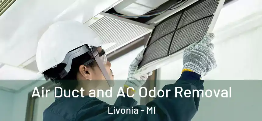 Air Duct and AC Odor Removal Livonia - MI