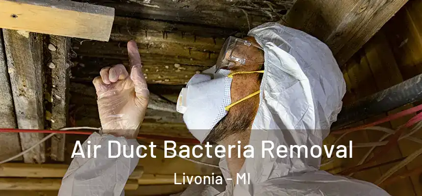 Air Duct Bacteria Removal Livonia - MI