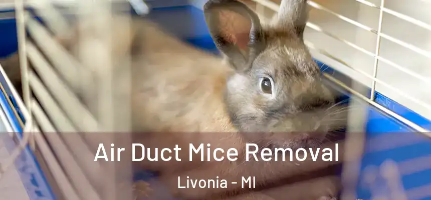 Air Duct Mice Removal Livonia - MI
