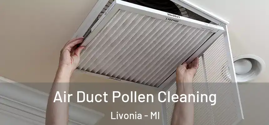 Air Duct Pollen Cleaning Livonia - MI