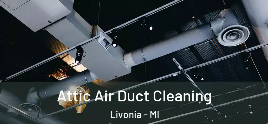 Attic Air Duct Cleaning Livonia - MI