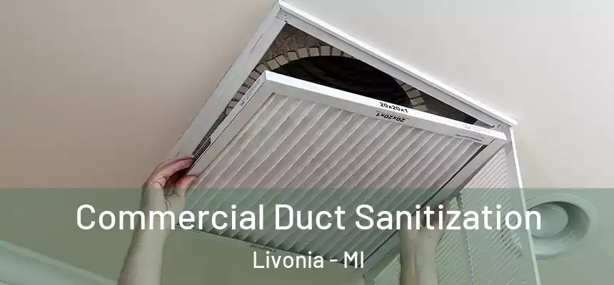Commercial Duct Sanitization Livonia - MI