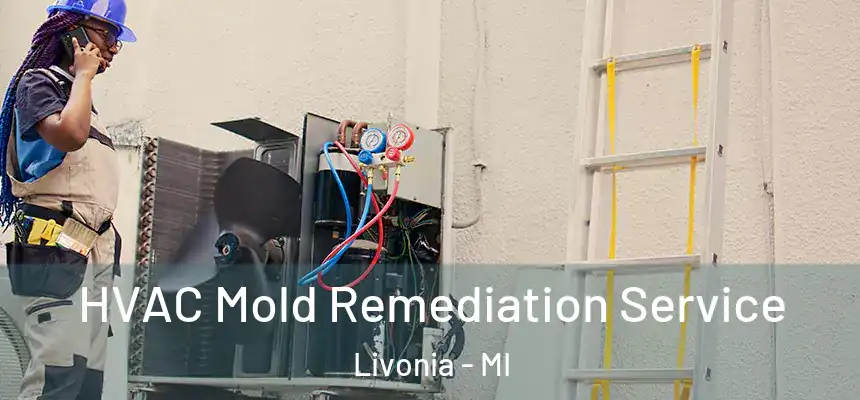 HVAC Mold Remediation Service Livonia - MI