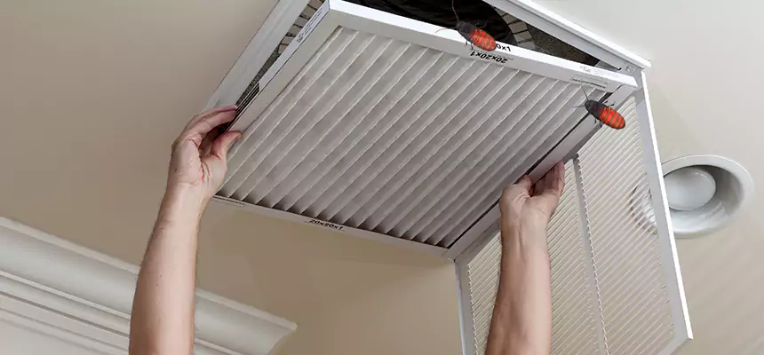 Preventive Cockroach-Proofing for Ducts in Livonia