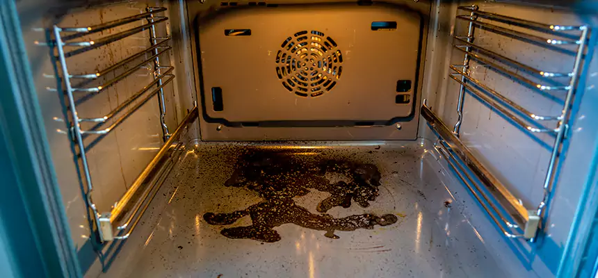 Our Dryer Vent Mold Cleaning Services in Livonia, MI