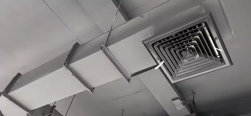 Our Pest Removal From Ducts Services in Livonia, MI