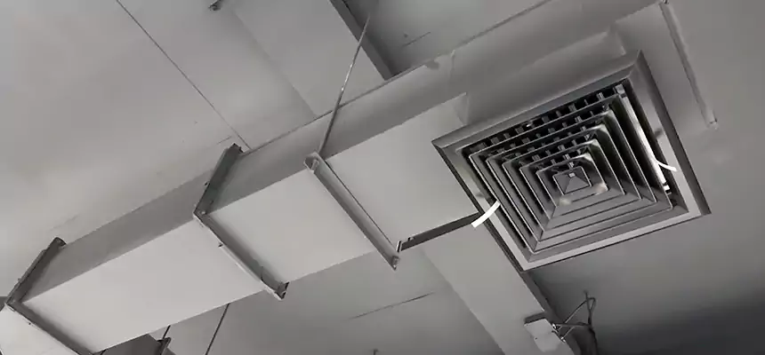 Our Rodent Droppings In Vents Services in Livonia, MI