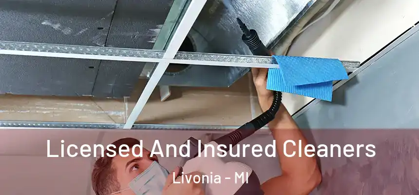 Licensed And Insured Cleaners Livonia - MI