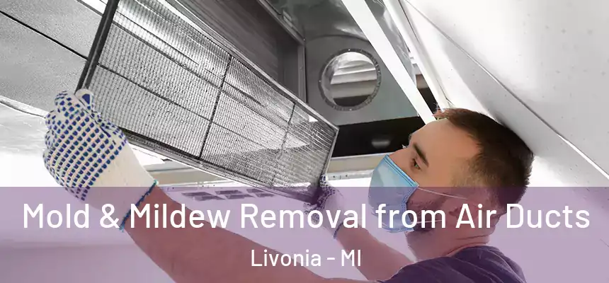 Mold & Mildew Removal from Air Ducts Livonia - MI