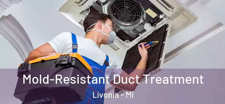  Mold-Resistant Duct Treatment Livonia - MI
