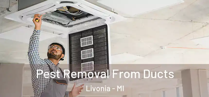 Pest Removal From Ducts Livonia - MI