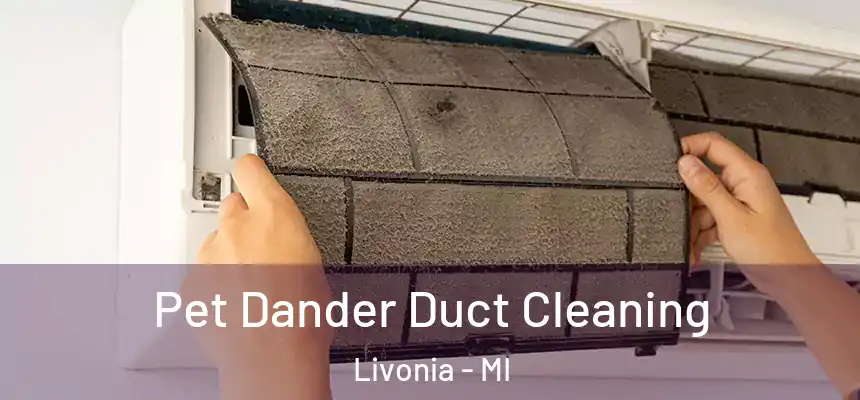 Pet Dander Duct Cleaning Livonia - MI