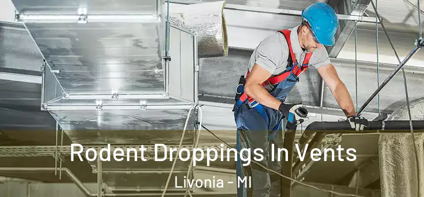 Rodent Droppings In Vents Livonia - MI