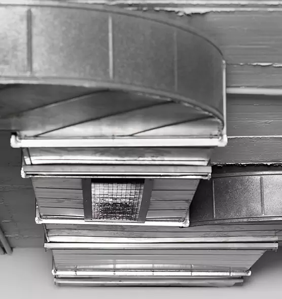 Professional Air Duct Pest Removal in Livonia, MI