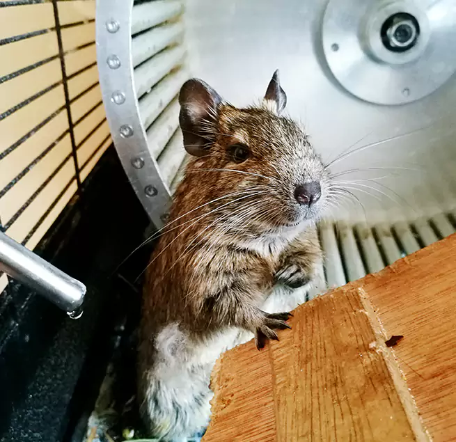 Why Homeowners & Businesses Trust Us Livonia, MI