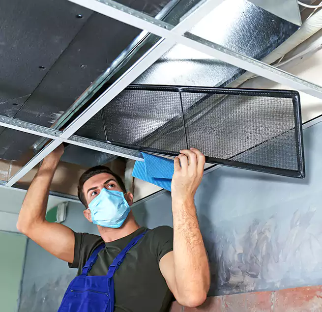 Why Homeowners Businesses Trust Us in Livonia, MI