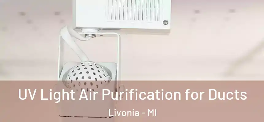 UV Light Air Purification for Ducts Livonia - MI